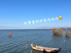 -野菌皇海景野生菌火锅(滨海大道店)
