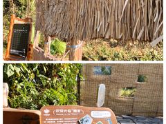 -华侨城湿地公园