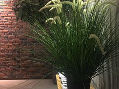 -美豪怡致酒店(上海长寿路店)