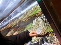 -乐乐姐超级土豆(中关村5号店)