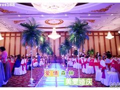 -南京维景国际大酒店(南京博物院店)