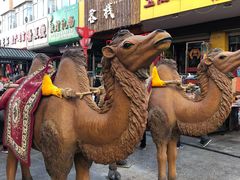 -敦煌夜市