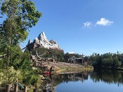 -奥兰多迪士尼动物王国乐园