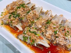 -宝燕海货工场(长江国际店)