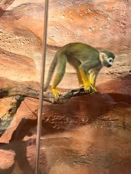 -Zoolung Zoolung动物主题公园(海信广场店)