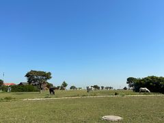-天津东疆湾沙滩景区