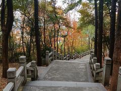 -灵岩山风景区