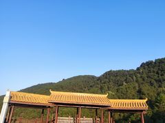 -铁山坪森林公园