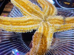 -蚝堡海鲜·威海菜·海肠捞饭·烧烤·亚洲吃蚝公司(幸福门店)
