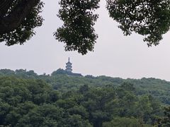 -苏州上方山国家森林公园