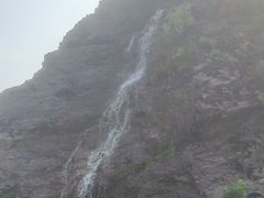 -雅苑中餐厅