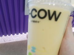 -一只酸奶牛(来福士店)