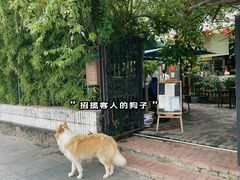 -豆舞咖啡(民乐路店)