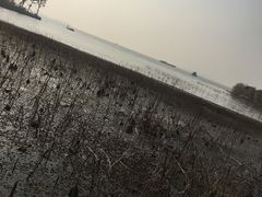 -东山矮马桶羊肉(太湖东山店)