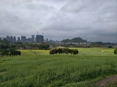 -光明小镇欢乐田园