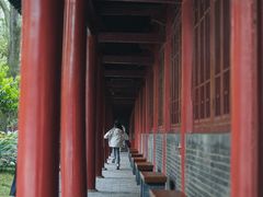-西安碑林博物馆