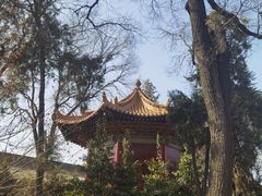 -西安碑林博物馆