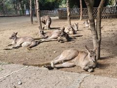 -宁波野生动物园