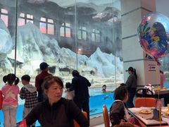 -帝企鹅自助餐厅•儿童岛•真企鹅(长隆企鹅酒店)