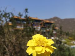 -天津盘山风景名胜区