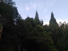 -峨眉山报国寺