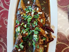 -慢生活食府