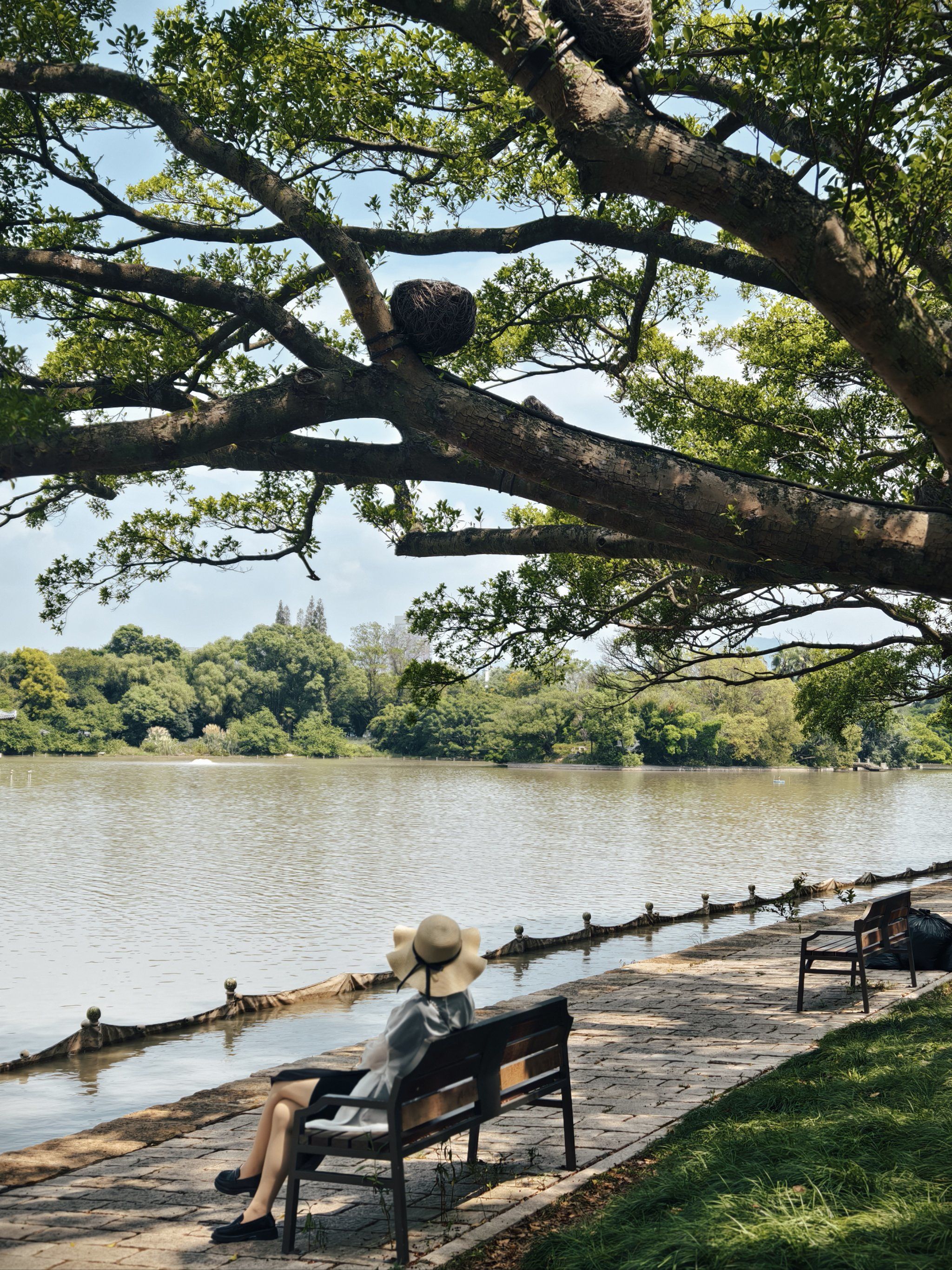 湖边漫步的悠闲时光