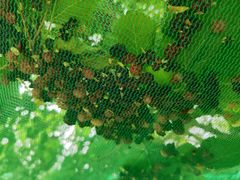 -哈密回王府景区