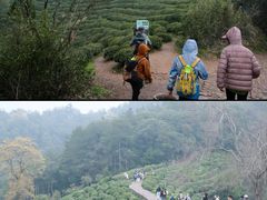 -西湖风景区十里琅珰-五云山