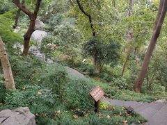-城隍阁