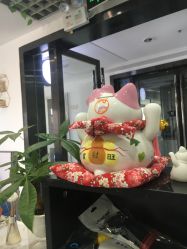 -凡碧诗毛孔收细