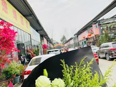 -金科花卉市场