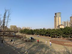 -蒲河岛湿地公园