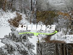 -安吉龙王山风景区