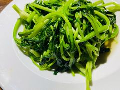 清炒鸡毛菜-金枝玉叶上海人家食府(三里河店)