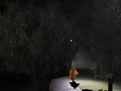 -印象普陀