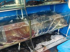 -滇香肴·云南菜蒸汽石锅鱼(云南北路店)