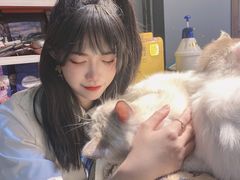 -more than meow吴止猫主题餐厅(承德 中船汇店)