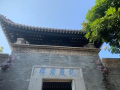 -碧江金楼