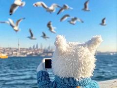 -长风源·寻衢味(20年老店)