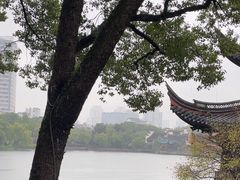 -月湖公园