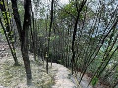 -南山植物园