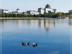 -莲花池公园