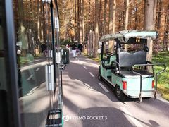 -黄海国家森林公园