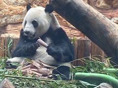 -石家庄市动物园