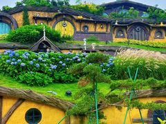 -仰天湖大草原