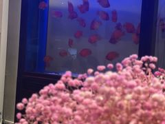 -北纬37°SPA养身会馆(湖西店)