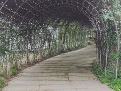 -秀丽东方