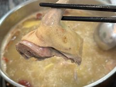-鸽鸟轩(石岐店)