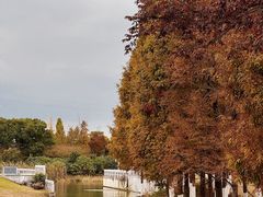 -昆山城市生态森林公园